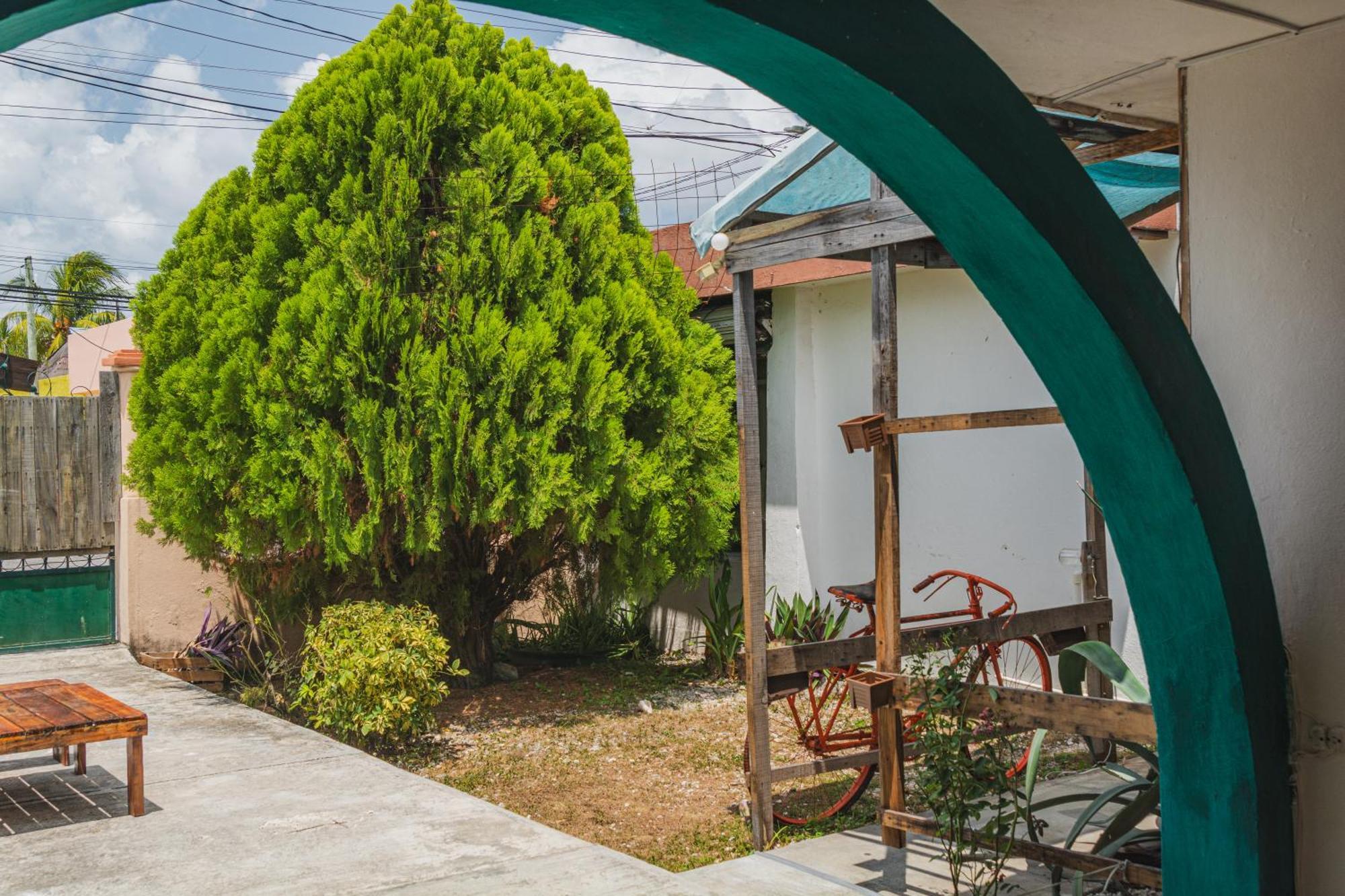Hostel Casa Samay