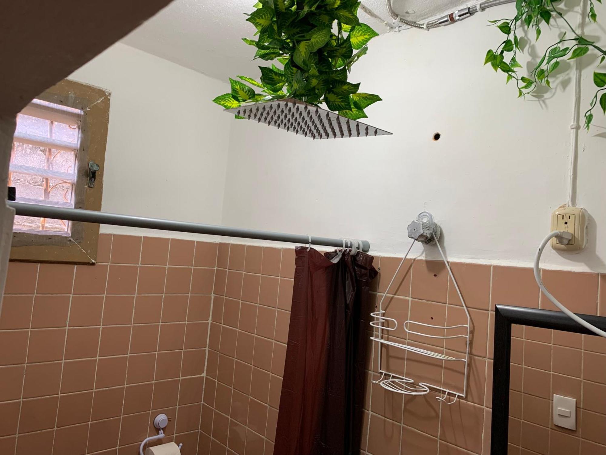 Hostel Casa Samay Cozumel